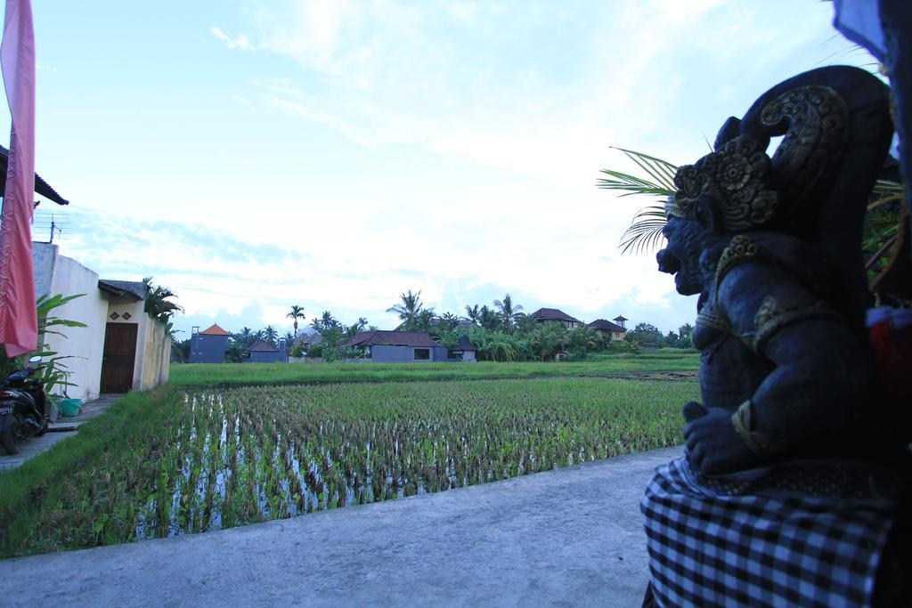 Pondok Buda Merta Ubud Esterno foto