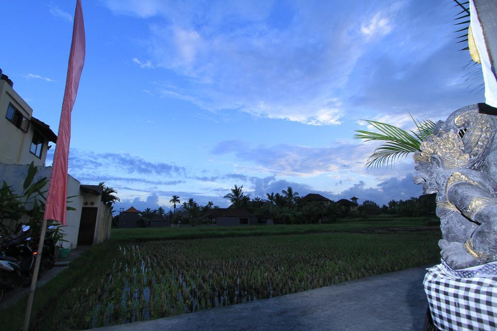 Pondok Buda Merta Ubud Esterno foto