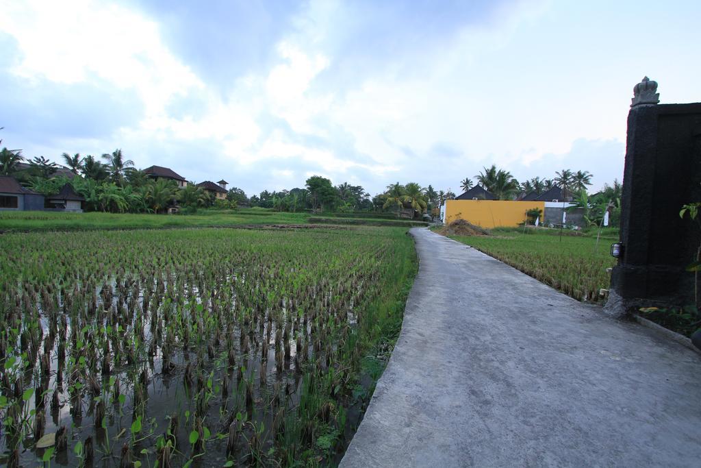 Pondok Buda Merta Ubud Esterno foto